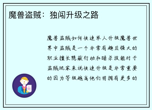 魔兽盗贼：独闯升级之路